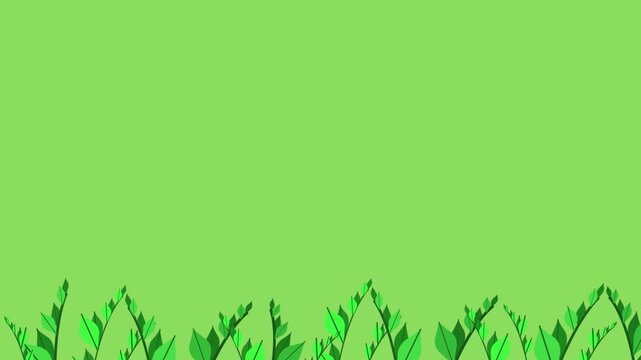 Animated background illustration of grass with a nature theme