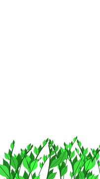 Animated background illustration of grass with a nature theme