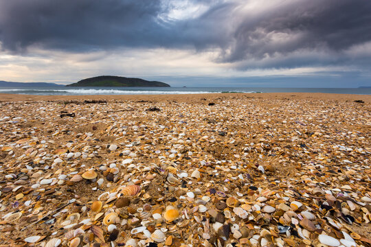 Low angled view of a sandy beach covered in shells under a dark dramatic sky