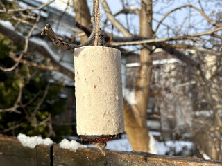 A hanging cylindrical bird feeder made of animal fat, seeds, and plant-based nutrients suspended from a tree branch in a winter garden