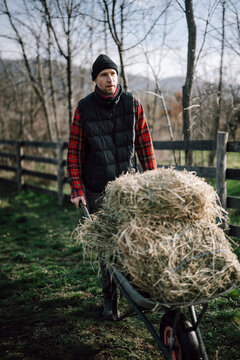 Man pushes wheelbarrow loaded with hay across green field