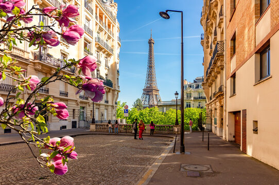Eiffel tower and streets of Paris in spring, France
