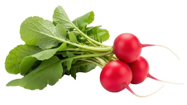 Fresh red radishes with green leaves isolated PNG, vibrant root vegetables on transparent background for healthy eating and culinary designs