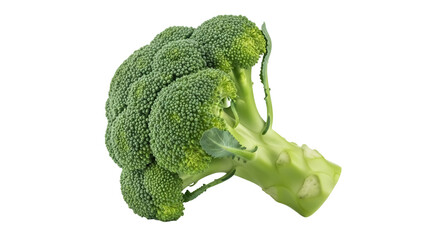 Fresh green broccoli isolated on transparent background PNG, healthy vegetable for cooking and...