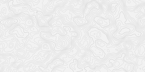 Fototapeta premium Classic Black and White Topography Line Art Seamless Design Outdoor Map Inspired Contour Pattern with Detailed Elevation Lines