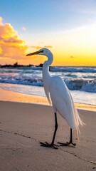 White egret stands tall on a sandy beach as waves roll in under a colorful sunset sky