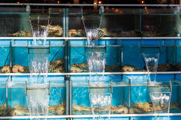 A row of aquariums with water flowing out of them