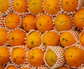 A pile of papayas wrapped in white plastic film. Background