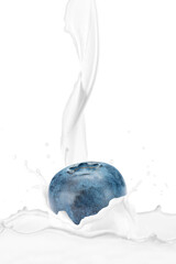 Milk Splash with Fresh Blueberry