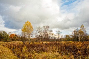 Obraz premium A mown field in late autumn on a cloudy day