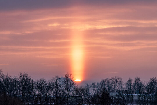 A bright sun pillar rises above the setting sun on a cold winter evening, creating a vertical beam of light through pink clouds. Silhouetted trees and a frosty horizon emphasize the atmospheric optica