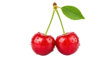 Two fresh red cherries with water droplets isolated PNG, juicy summer fruit on transparent background for healthy eating and dessert concepts