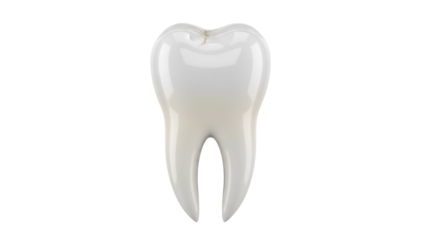 Realistic molar tooth isolated PNG on transparent background, dental anatomy model for educational and medical use, oral hygiene concept