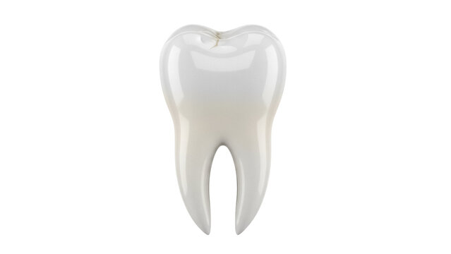 Realistic molar tooth isolated PNG on transparent background, dental anatomy model for educational and medical use, oral hygiene concept