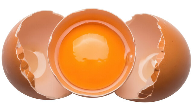 Cracked egg with yolk isolated PNG on transparent background, broken eggshell halves with bright orange yolk for cooking and baking