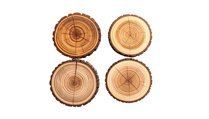 Four round wood slices arranged, revealing tree rings and bark against black background