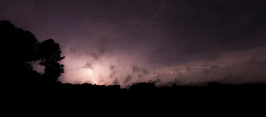 Lightning in the skiy silhouetting trees at night
