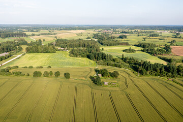 Aerial View of Green Field With Trees