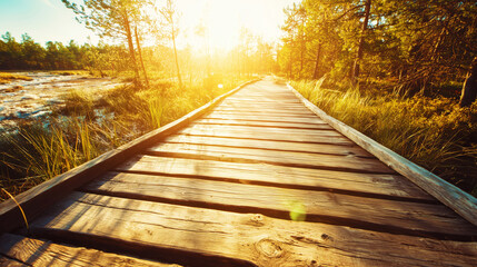Serene Pathway Through Nature Illuminated by Sunlight
