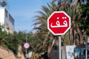 Stop sign in Arabic surrounded by palm trees in a Moroccan urban setting