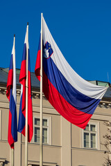 Obraz premium slovenian flags on flagpoles against blue sky