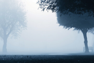 Foggy Park Pathway Illustrating Journey to Mental Clarity and Healing