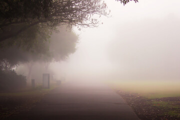 Foggy Park Pathway for Journey of Mental Clarity and Healing