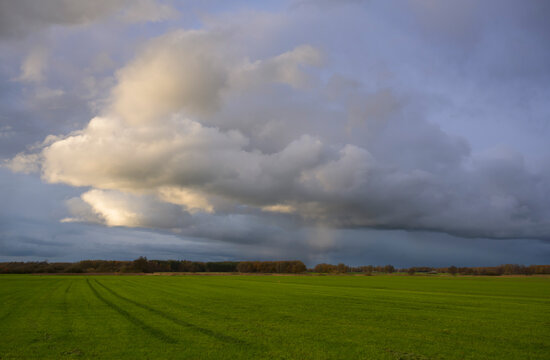Cloudy autumn landscape with green field in Drenthe Netherlands