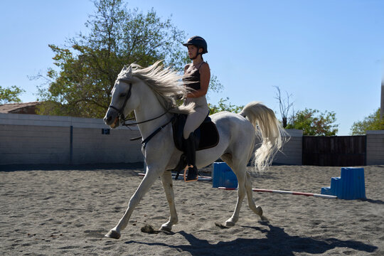 Equestrian riding a white horse practicing outside in the arena