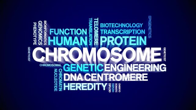 Chromosome animated word cloud-text design animation tag kinetic typography seamless loop.