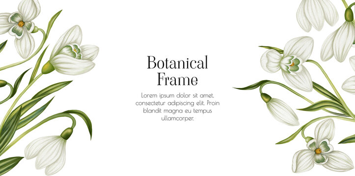 Illustration frame with snowdrops. Festive spring card. Floral composition. Template with flowers