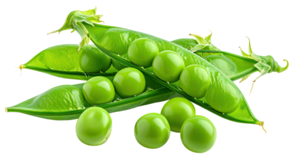 Freshly opened pea pods, revealing several vibrant, round green peas against a black backdrop