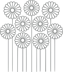 A Group of Black and Daisy Flowers with Long Stems in a Clean