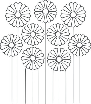 A Group of Black and Daisy Flowers with Long Stems in a Clean