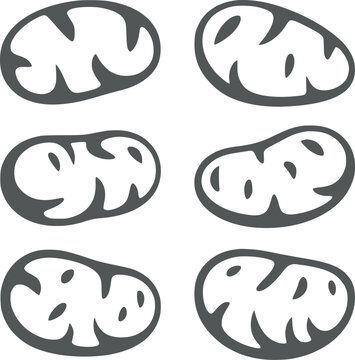 Six gray and oval shapes with abstract patterns inside