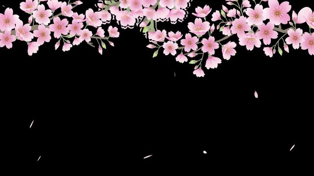 【4k】overlay animation of sakura branch and petals, transparent background