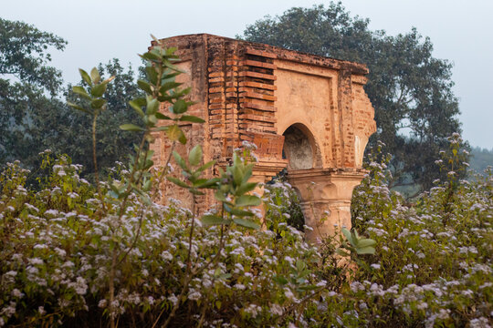 Gar Panchakot. One of the ancient archaeological sites from the Purulia district of West Bengal, India. 