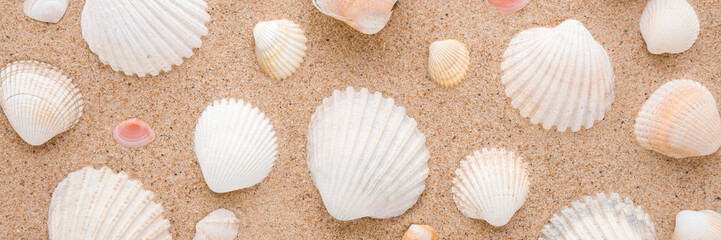 Different beautiful colorful sea shells on light brown dry sand background. Closeup. Seashells pattern. Wide banner. Top down view. © fotoduets