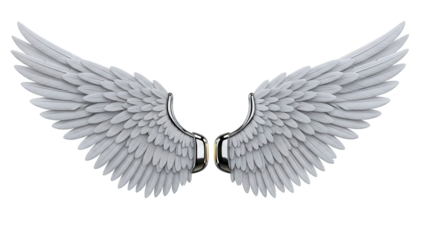 White Angel Wings with Silver Accents