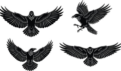 Obraz premium Set of flying crow and raven silhouettes with spread wings, black vector birds isolated on white background for tattoo, logo, gothic and wildlife design