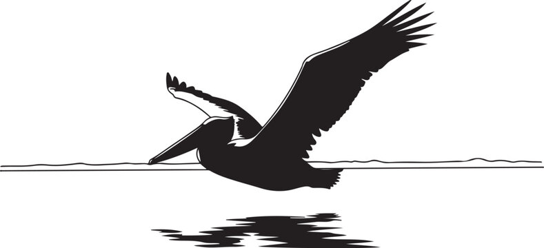 Silhouette of a pelican flying over calm water surface