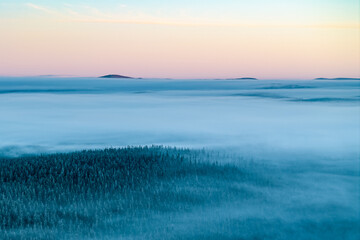Aerial view of the dark green forest meeting the ethereal blue fog under a pastel sky, Caledonian Forest, Cairngorms National Park, Scotland.