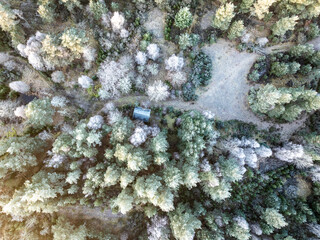 Aerial view of a frosty landscape with a small structure nestled amongst the trees, their branches dusted with snow, Caledonian Forest, Cairngorms National Park, Scotland.