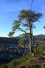 Blick vom Kahlen Fels nach Hauenstein