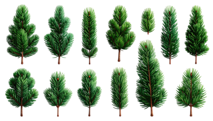 Illustration of multiple stylized evergreen trees, each with unique shape and detailed foliage