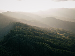 Naklejka premium Forest mountains landscape in the sunset