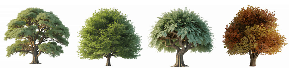 Fototapeta premium Set For trees in different seasons isolated on transparent background