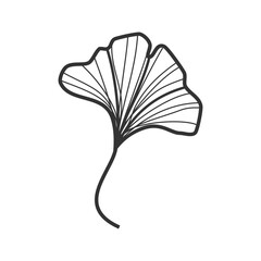Ginkgo Tree Floral Design: Hand-Drawn Botanical Illustration
