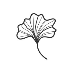Beautiful Ginkgo Leaves and Flowers: Hand-Drawn Artwork
