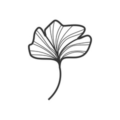 Artistic Ginkgo Leaf and Flower Sketch: Hand-Drawn Illustration
